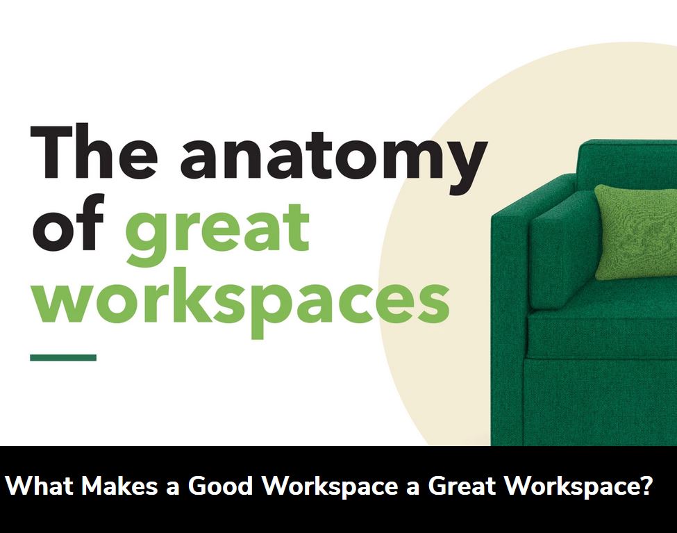 The Anatomy of Great Workspaces