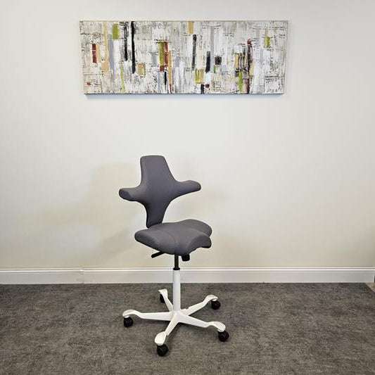 Pre-Owned Hag Capisco Chair - Duckys Office Furniture