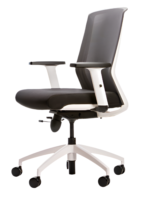 C2 Ergonomic Office Chair